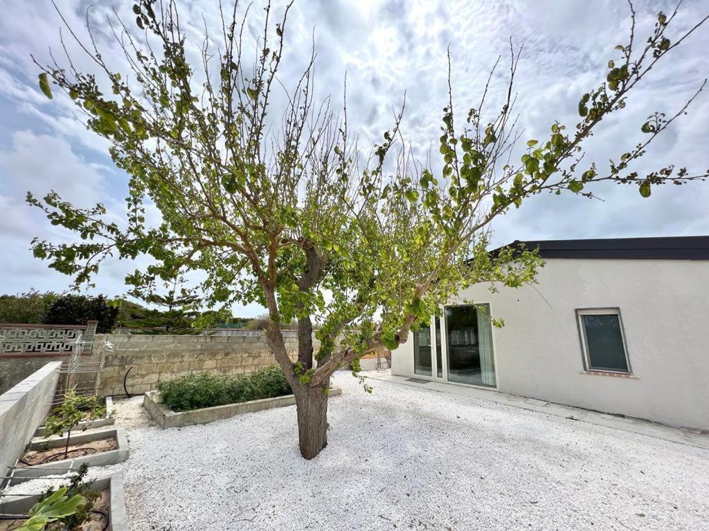 Apartment Garbudgi 1 *